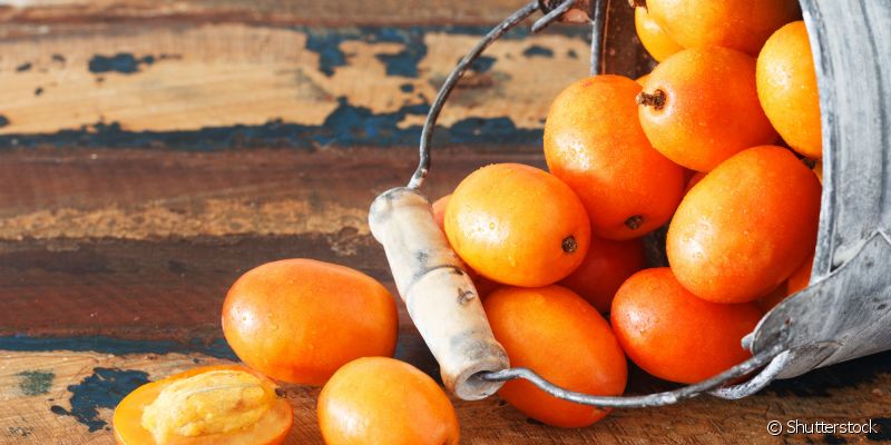 Cajá: Descubra 6 benefícios poderosos dessa fruta para a sua saúde!