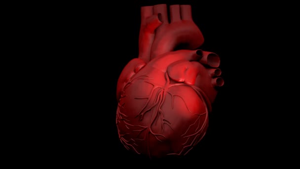 7 dicas para prevenir doenças do coração