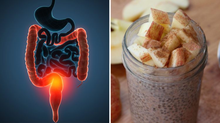 Sucos Para Desintoxicar o Intestino Naturalmente