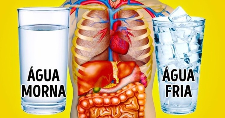 Beba Água Morna de Manhã para Acelerar seu Metabolismo e Emagrecer!