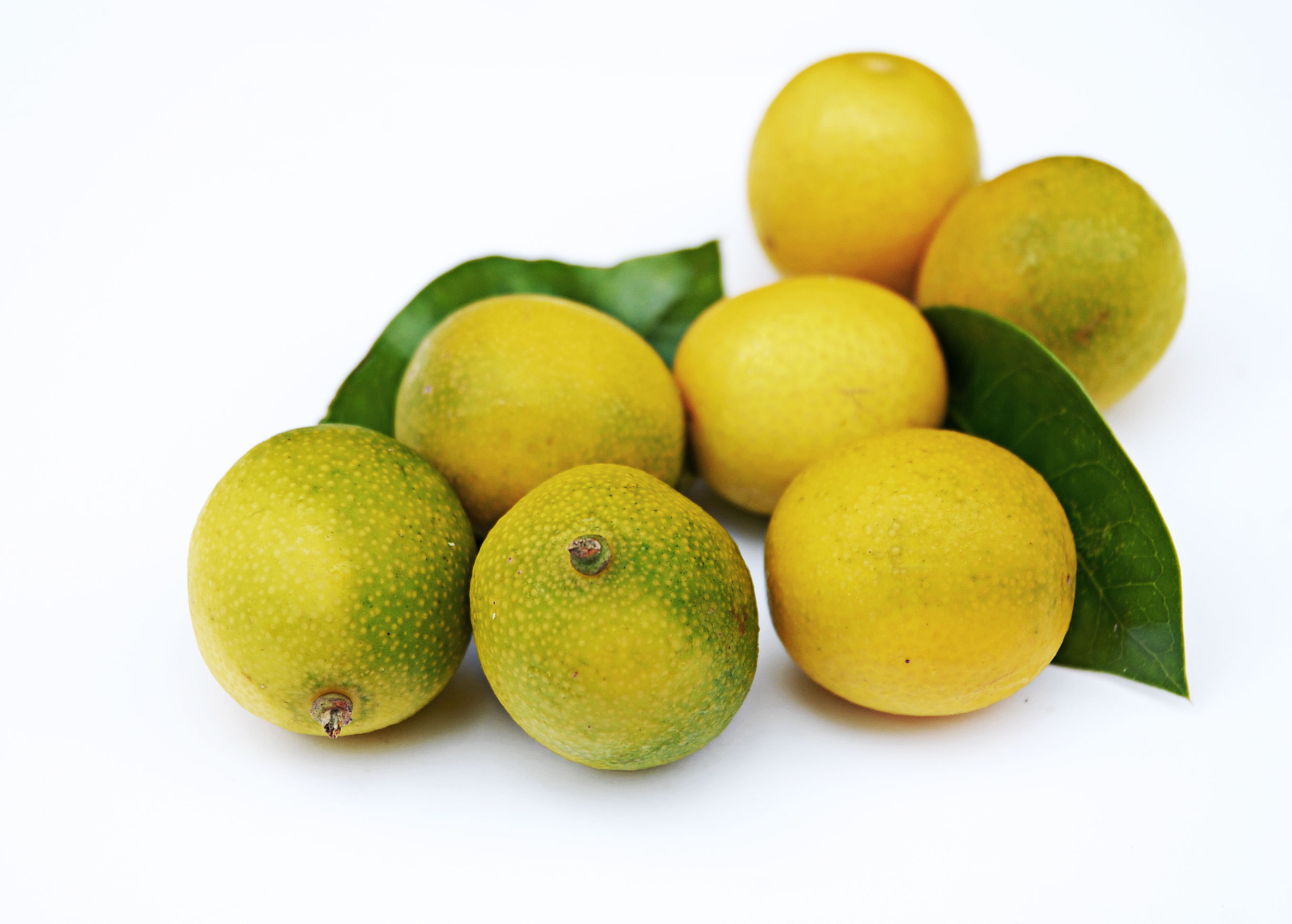 Confira 7 benefícios da laranja lima!